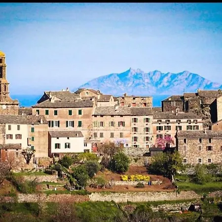 Casuccia Piazza Di I Fiori